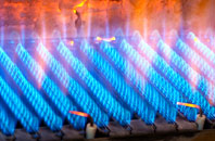 Ashprington gas fired boilers